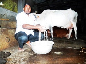 Dairy  feed businessman