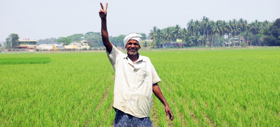 Cereal Systems Initiative for South Asia (CSISA) » India-news