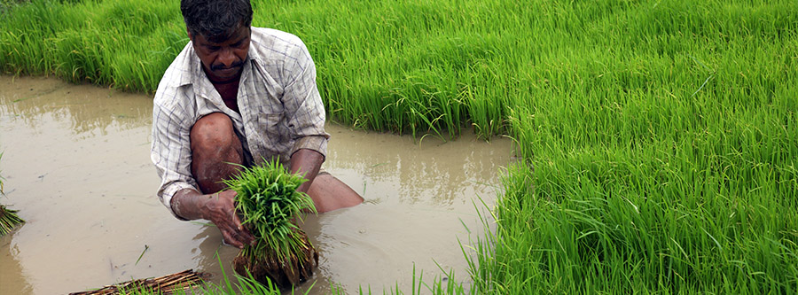 The flood-drought syndrome and ecological degradation of the Indo-Gangetic  Plains of South Asia