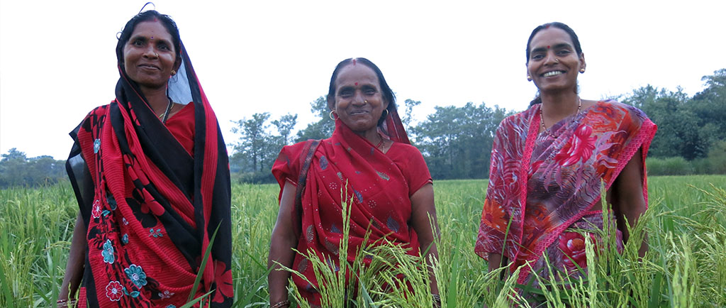 Cereal Systems Initiative for South Asia (CSISA) » CSISA-Trained Women ...